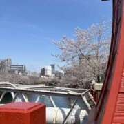 ヒメ日記 2025/04/05 12:40 投稿 らむ もしも素敵な妻が指輪をはずしたら・・・