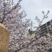 ヒメ日記 2025/04/06 13:00 投稿 らむ もしも素敵な妻が指輪をはずしたら・・・