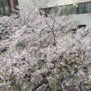 ヒメ日記 2025/04/11 11:50 投稿 らむ もしも素敵な妻が指輪をはずしたら・・・