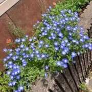 ヒメ日記 2025/05/19 11:50 投稿 らむ もしも素敵な妻が指輪をはずしたら・・・