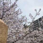 ヒメ日記 2025/04/06 13:05 投稿 らむ もしも清楚な20、30代の妻とキスイキできたら横浜店