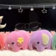 ヒメ日記 2025/11/27 13:14 投稿 らむ もしも清楚な20、30代の妻とキスイキできたら横浜店