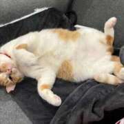 ヒメ日記 2024/12/30 23:57 投稿 ゆうあ デリス新宿