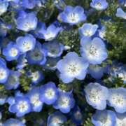 ヒメ日記 2025/10/18 23:23 投稿 なるみ 2980円