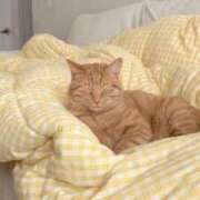 ヒメ日記 2025/09/20 22:37 投稿 ぷりん しろうとCollection