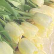 ヒメ日記 2025/10/09 16:47 投稿 ぷりん しろうとCollection