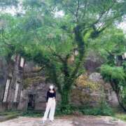 ヒメ日記 2025/05/25 12:03 投稿 紗李【驚異のリピ率SSS級美女】 Mode（モード）◆理想の彼女◆