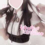 ヒメ日記 2024/12/25 09:33 投稿 みれい LOVE CLOVER（らぶくろーばー）