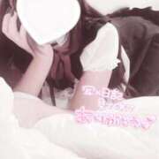 ヒメ日記 2025/02/16 10:39 投稿 みれい LOVE CLOVER（らぶくろーばー）