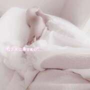 ヒメ日記 2025/02/22 11:13 投稿 みれい LOVE CLOVER（らぶくろーばー）