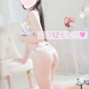 ヒメ日記 2025/03/31 20:01 投稿 みれい LOVE CLOVER（らぶくろーばー）