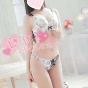 ヒメ日記 2025/04/04 08:41 投稿 みれい LOVE CLOVER（らぶくろーばー）