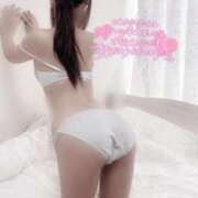 ヒメ日記 2025/04/15 00:04 投稿 みれい LOVE CLOVER（らぶくろーばー）