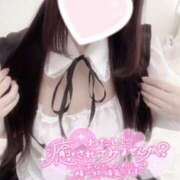 ヒメ日記 2025/04/29 12:24 投稿 みれい LOVE CLOVER（らぶくろーばー）