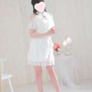 ヒメ日記 2025/05/14 09:24 投稿 みれい LOVE CLOVER（らぶくろーばー）