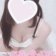 ヒメ日記 2025/06/12 09:34 投稿 みれい LOVE CLOVER（らぶくろーばー）