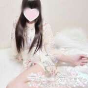 ヒメ日記 2025/08/19 11:14 投稿 みれい LOVE CLOVER（らぶくろーばー）