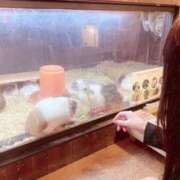 ヒメ日記 2025/09/19 23:14 投稿 みれい LOVE CLOVER（らぶくろーばー）