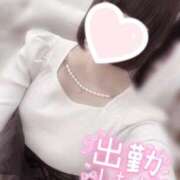 ヒメ日記 2026/04/06 13:24 投稿 みれい LOVE CLOVER（らぶくろーばー）