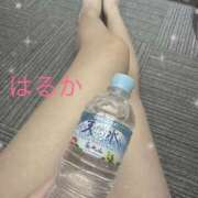 ヒメ日記 2024/12/09 00:18 投稿 はるか リアル 日本橋店