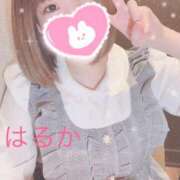 ヒメ日記 2024/12/09 01:08 投稿 はるか リアル 日本橋店