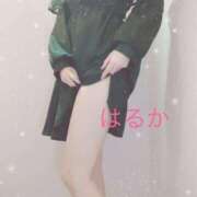 ヒメ日記 2024/12/16 21:18 投稿 はるか リアル 日本橋店