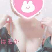 ヒメ日記 2025/01/31 17:38 投稿 はるか リアル 日本橋店