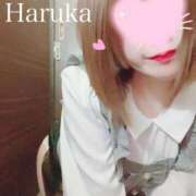 ヒメ日記 2025/10/27 21:18 投稿 はるか リアル 日本橋店