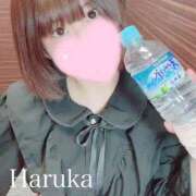 ヒメ日記 2026/01/29 23:18 投稿 はるか リアル 日本橋店