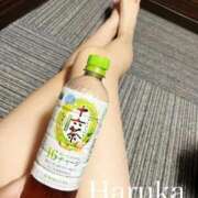 ヒメ日記 2026/03/13 07:18 投稿 はるか リアル 日本橋店