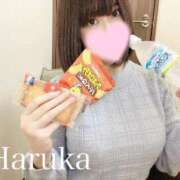 はるか ご予約のお兄様♡ リアル 日本橋店