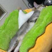 ヒメ日記 2025/07/29 16:05 投稿 アノ【ミニマム天使♡】 バニーコレクション 中洲店