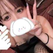 アノ【ミニマム天使♡】 お礼💌 バニーコレクション 中洲店