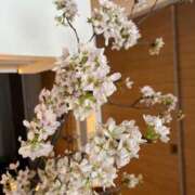 ヒメ日記 2025/04/15 12:31 投稿 大原エミリ プレジデントクラブ