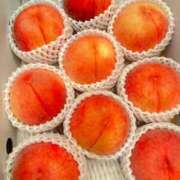 ヒメ日記 2025/09/03 19:30 投稿 大原エミリ プレジデントクラブ