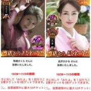 ヒメ日記 2025/10/29 13:01 投稿 大原エミリ プレジデントクラブ