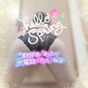 ヒメ日記 2025/04/06 12:12 投稿 キーオン 西川口デッドボール