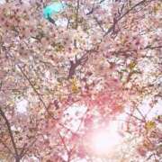 ヒメ日記 2025/04/06 18:58 投稿 キーオン 西川口デッドボール