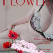 ヒメ日記 2025/05/18 16:58 投稿 キーオン 西川口デッドボール