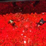 ヒメ日記 2025/07/12 07:08 投稿 キーオン 西川口デッドボール