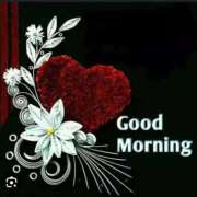 ヒメ日記 2025/07/19 07:08 投稿 キーオン 西川口デッドボール