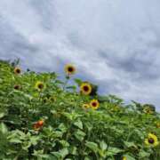 ヒメ日記 2025/08/11 13:28 投稿 キーオン 西川口デッドボール