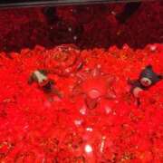 ヒメ日記 2025/10/16 17:28 投稿 キーオン 西川口デッドボール