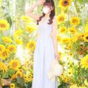 ヒメ日記 2025/09/14 09:17 投稿 りん 池袋千姫