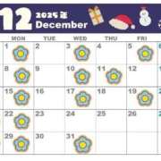 ヒメ日記 2025/11/30 13:48 投稿 風間あい エルドール