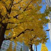 風間あい 2クール目の捨て活 エルドール