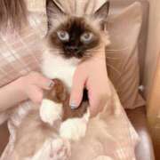 ヒメ日記 2026/01/31 11:44 投稿 風間あい エルドール