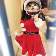 ヒメ日記 2024/12/09 10:32 投稿 麗華(れいか) 高崎回春性感SPA