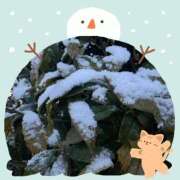 ヒメ日記 2025/03/04 19:35 投稿 麗華(れいか) 高崎回春性感SPA