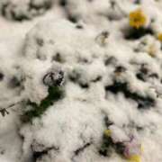 ヒメ日記 2025/03/05 09:20 投稿 麗華(れいか) 高崎回春性感SPA